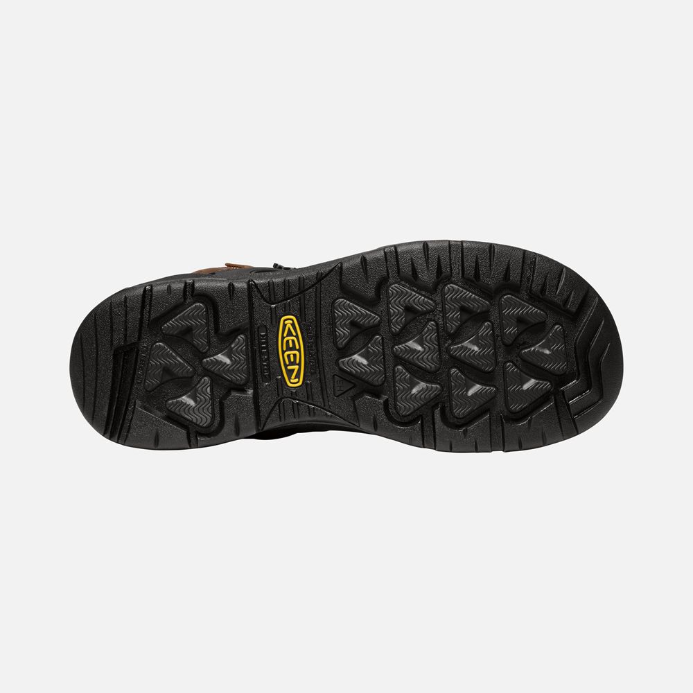 Botte de Travail Keen Homme Marron | Dover 6\" Wp (Carbon-Fiber Toe) | FRQLU-3179